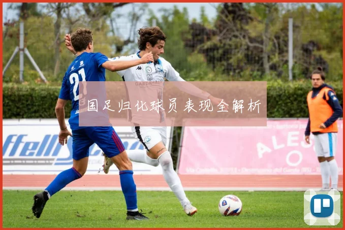 国足归化球员表现全解析