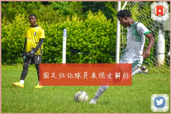 国足归化球员表现全解析